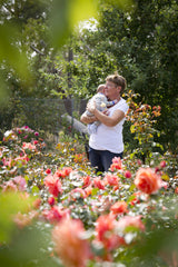 Casanova - Floribunda Shrub Rose