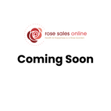 Clair Matin (Climbing) Bush Rose