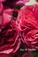 Joy Of Health New Release Floribunda Bush Rose (Bare-rooted)
