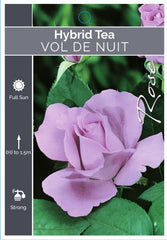 Vol De Nuit Hybrid Tea Bush Rose