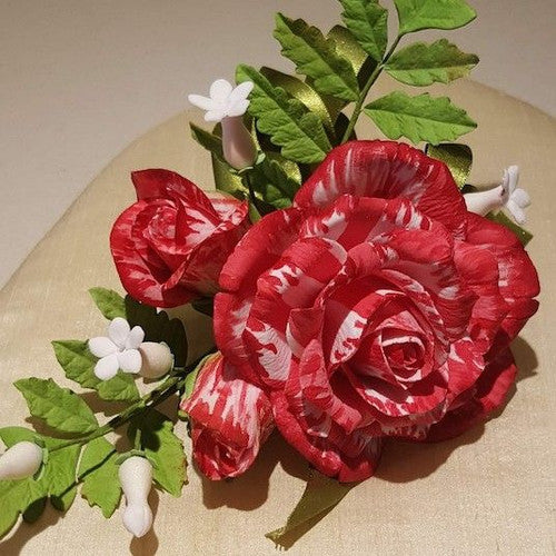 Rose Rambler: 29th June 2023 - Organic Rose Management Upgrade
