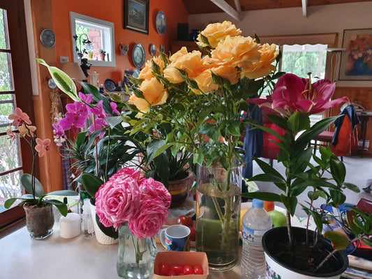 Rose Rambler: Mother's Day: 4th May 2023