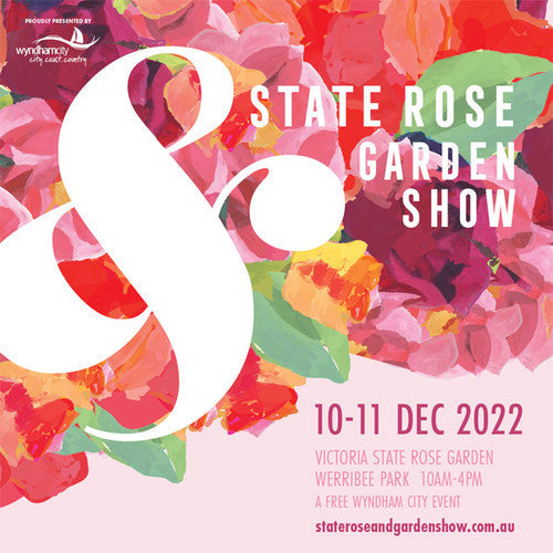 ROSE RAMBLER 1ST DECEMBER, 2022
