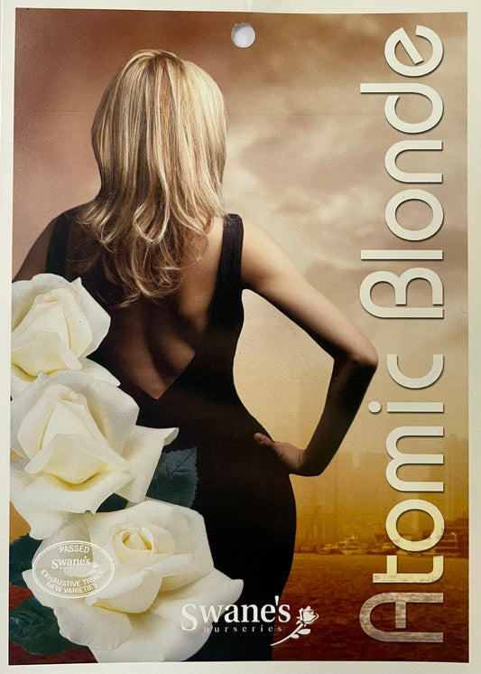 Atomic Blonde (Bare-rooted)