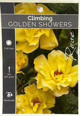 Golden Showers (Climbing) Bush Rose (Bare-rooted)