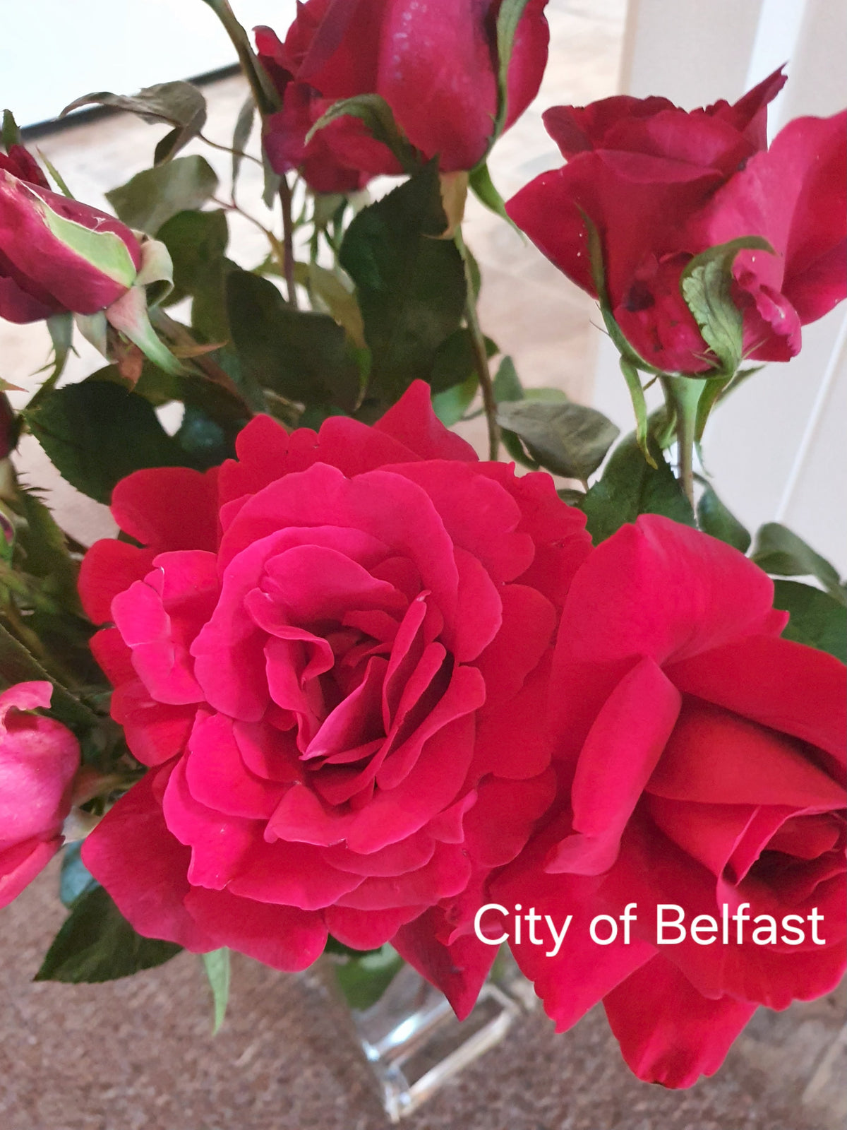 City of Belfast