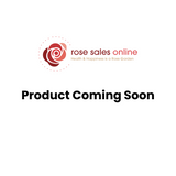 Unconditional Love New Release Bush Rose