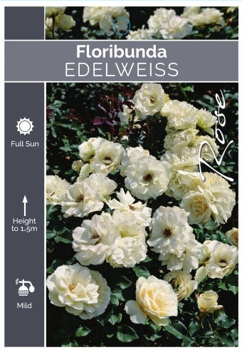 Edelweiss Bareroot