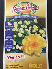 140mm Flower Carpet Gold