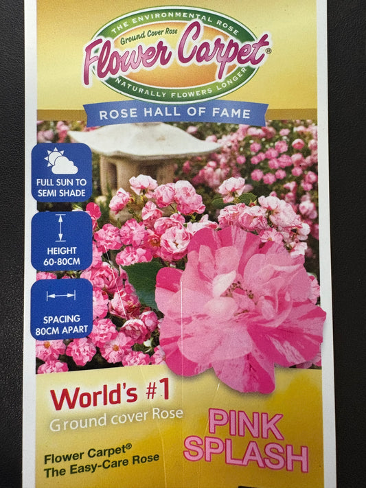 140mm Flower Carpet Pink Splash