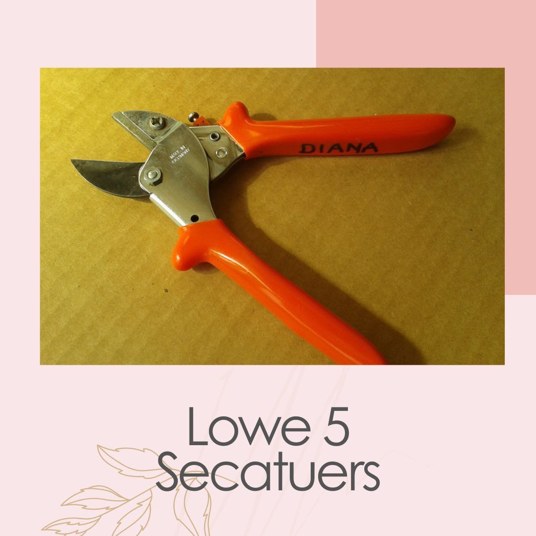 Lowe 5 Secateurs